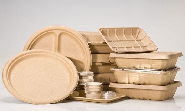Sustainable Material : Future Of Packaging